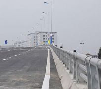 Lan can cầu QHL 01